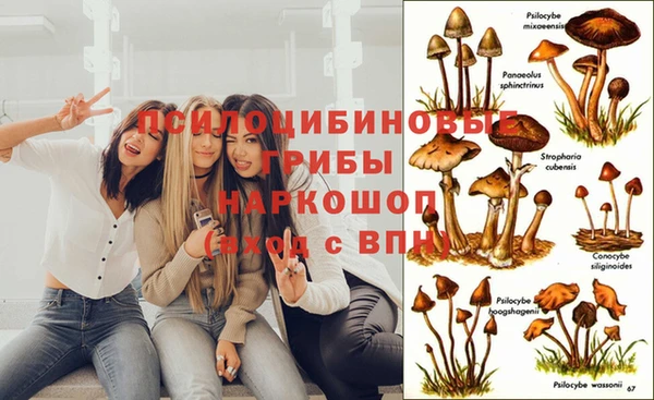 твердый Белокуриха