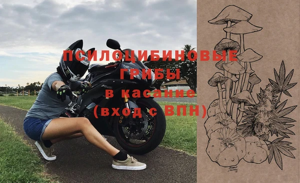 твердый Белокуриха