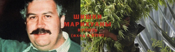 гидропоника Богородицк