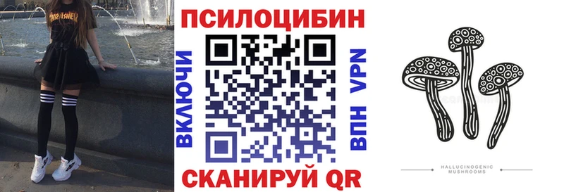 Псилоцибиновые грибы MAGIC MUSHROOMS  Купить закладки  Хадыженск 