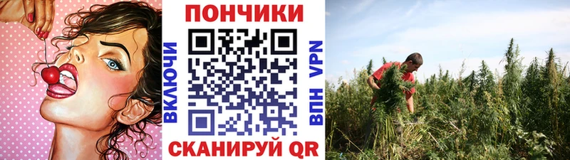 Купить закладки  Хадыженск  Конопля марихуана 